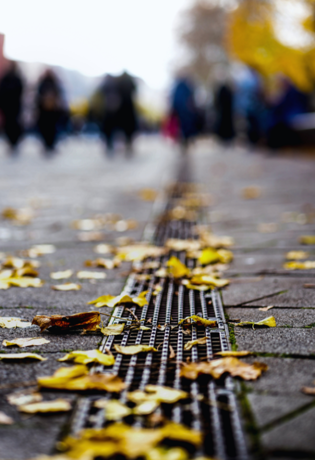 drainage system on sidewalk, covered with leaves